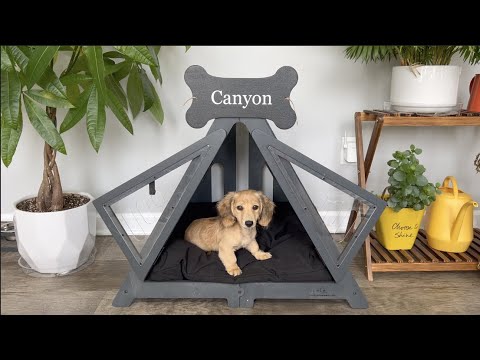 Building Wooden Dog Bed for Cutest Puppy DIY