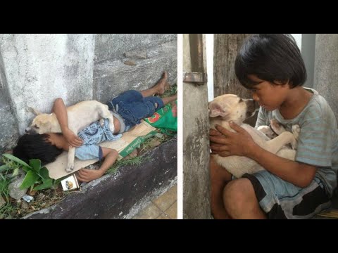 Emotional Animal Rescue Videos That We Should Not Miss a Moment Part 3