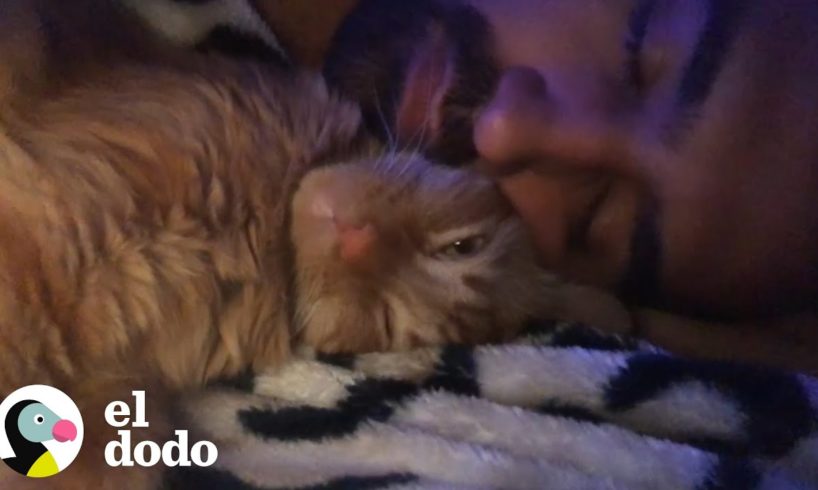 Gato y su papá tienen la misma rutina todas las noches antes de dormir I El Dodo