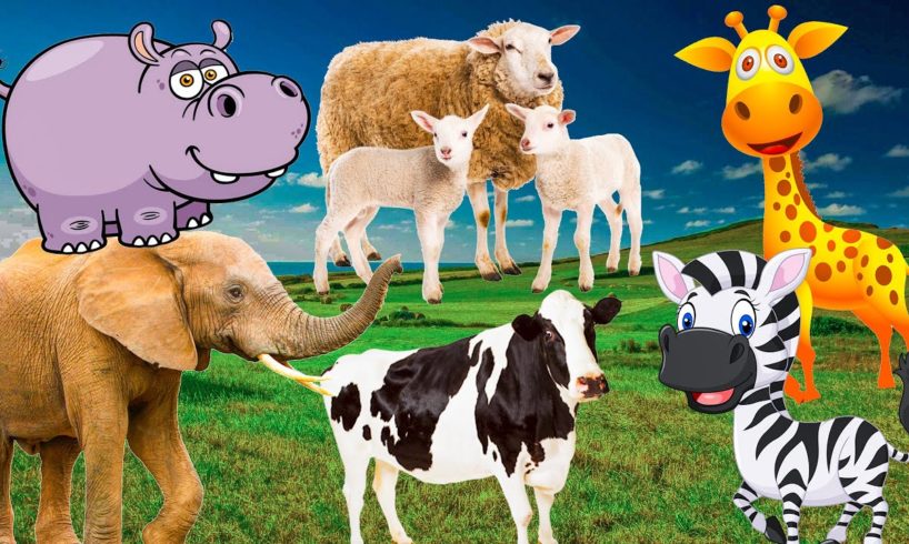 Moments of herbivores: elephant, cow, horse, sheep, hippo, goat - animal sounds - Part 19