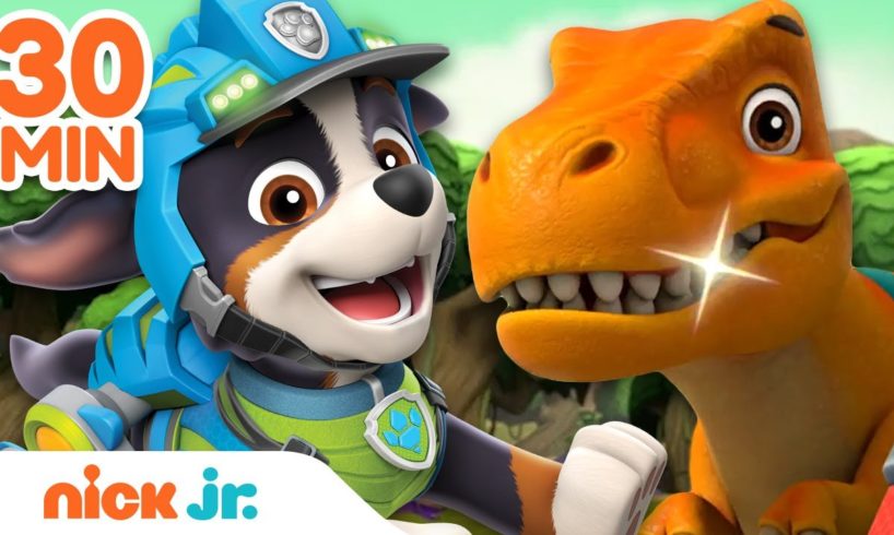 Rex's BEST Dinosaur Rescues 🦖 PAW Patrol! | 30 Minute Compilation | Nick Jr.