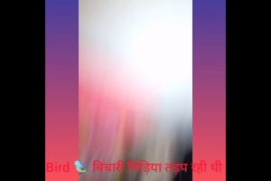 bird 🐦 rescue बिचारी चिड़िया तड़प रही थी