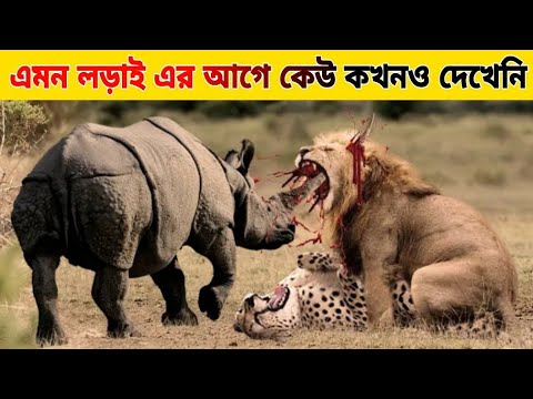 জঙ্গলের জানোয়ারদের মধ্যে ভয়ংকর লড়াই । Animal Fights In Bangla