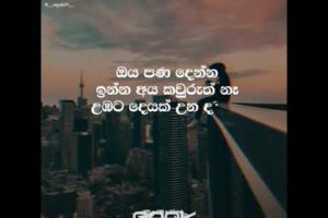 ඔව් ✌️🙂💔