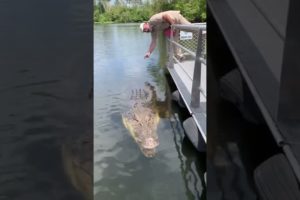 Absolutely Massive Crocodile 🐊 #shorts #animals #reptile #giant #dinosaur #zoo #crocodile