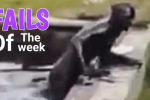 Fails Of The Week : Bad Day - FailSquad