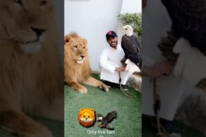 Osama playing with animals in home zoo#animals#funny#onlyfivefact