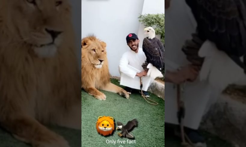 Osama playing with animals in home zoo#animals#funny#onlyfivefact