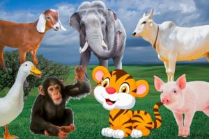 Synthesize animals for babies: pig, cow, duck, monkey, elephant, tiger - animal sounds