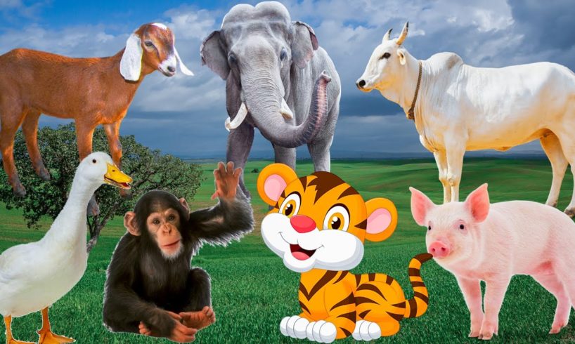 Synthesize animals for babies: pig, cow, duck, monkey, elephant, tiger - animal sounds