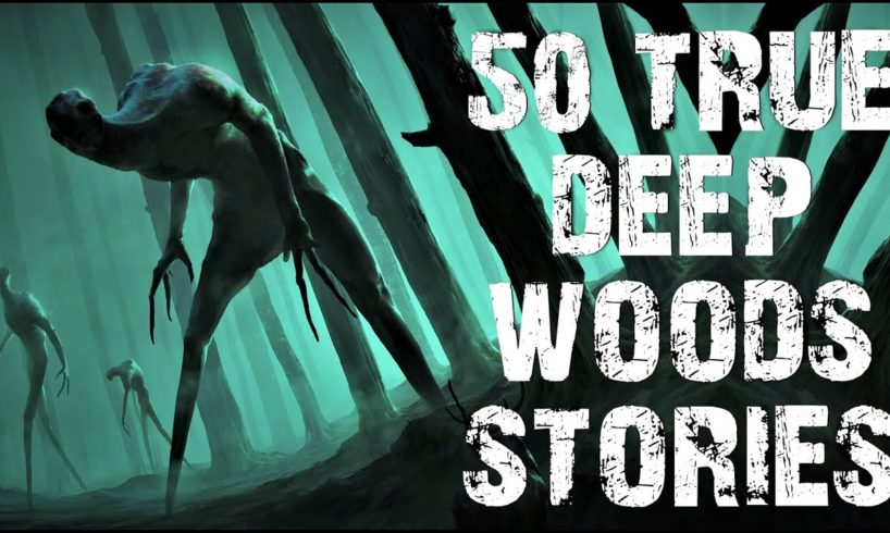 50 TRUE Disturbing Deep Woods & Cryptid Stories Told In The Rain | Scary Stories to fall asleep to