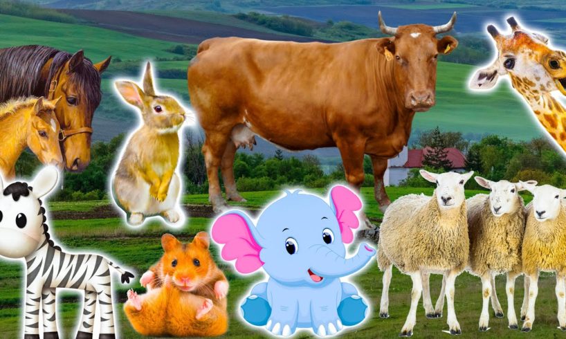 Cute little animals: cat, chick, dog, cow, monkey - real animal sounds