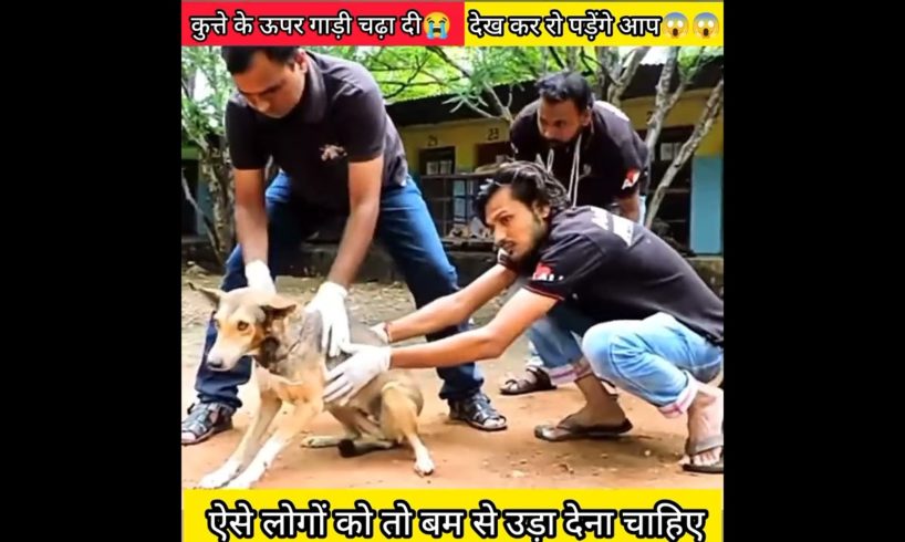 Dog accident 😱 #संस्कारीsahil #woodworking #trending #youtubeshorts #short