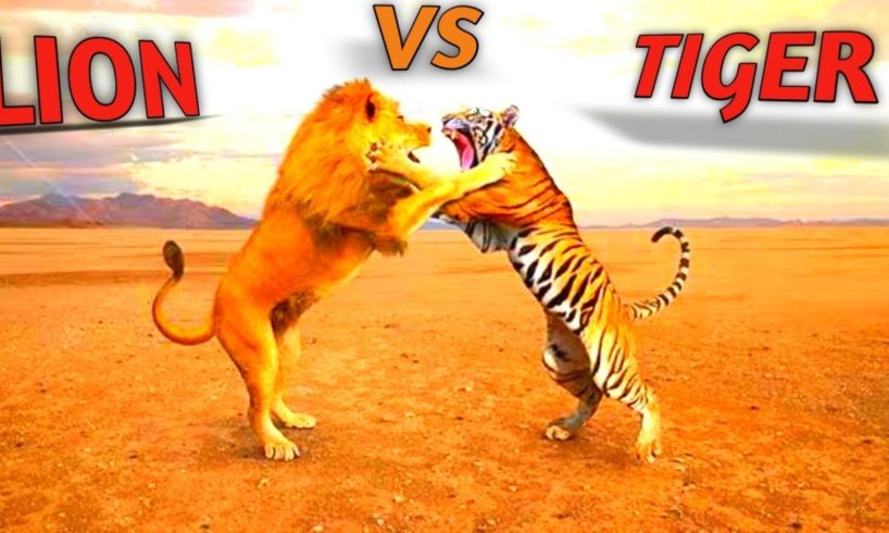 LION VS TIGER FIGHTING VIDEO /TIGER VS LION FIGHT/ANIMALS VIDEO GAME/TIGER VS GUNDER FIGHT#animal