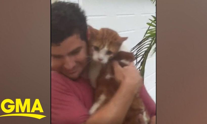 Man rescues cat from Hurricane Ian