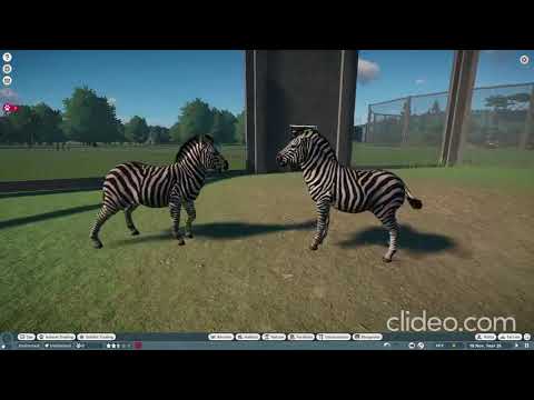 Planet Zoo Animal Fights (Resounded)