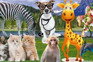 The life of familiar animals dog, cow, horse, cat, chicken, elephant, monkey, pig