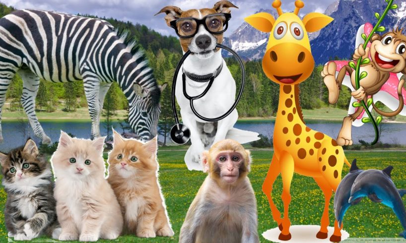 The life of familiar animals dog, cow, horse, cat, chicken, elephant, monkey, pig