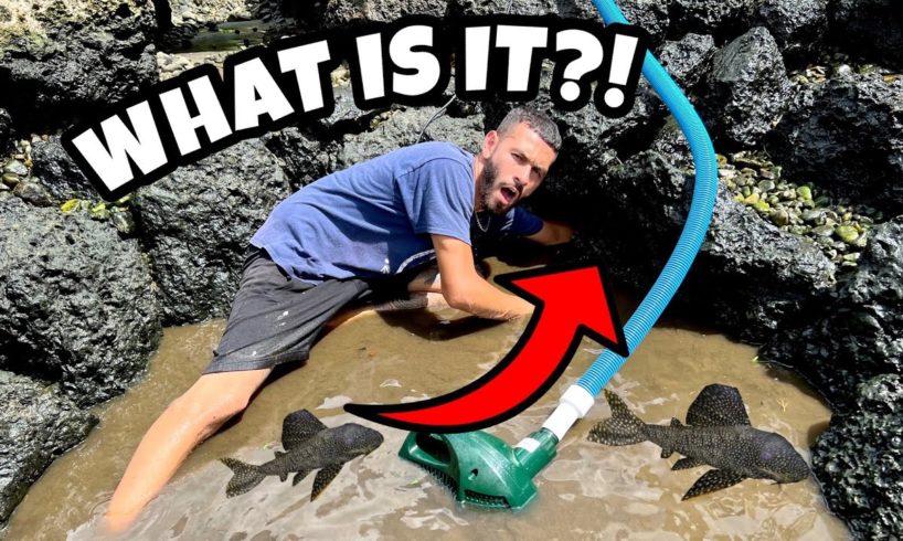 WHAT DID WE FIND LIVING IN THIS BLACK TAR WATER?!