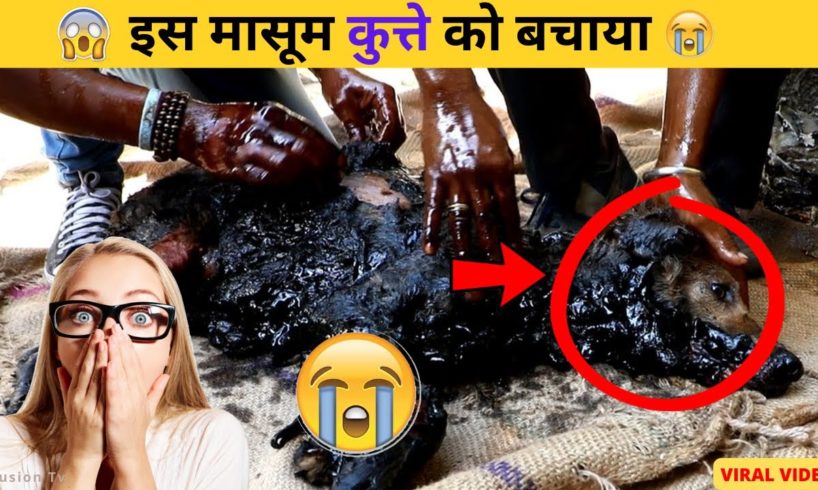 आज भी इंसानियत जिंदा है😭😭 #shorts #viral #trending #viralvideo