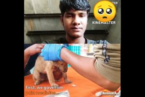 छोटे कुत्ते के मुंह से खून निकल रहा था 🥺🥺fir jo hua #dog #short #viral video #Animal #