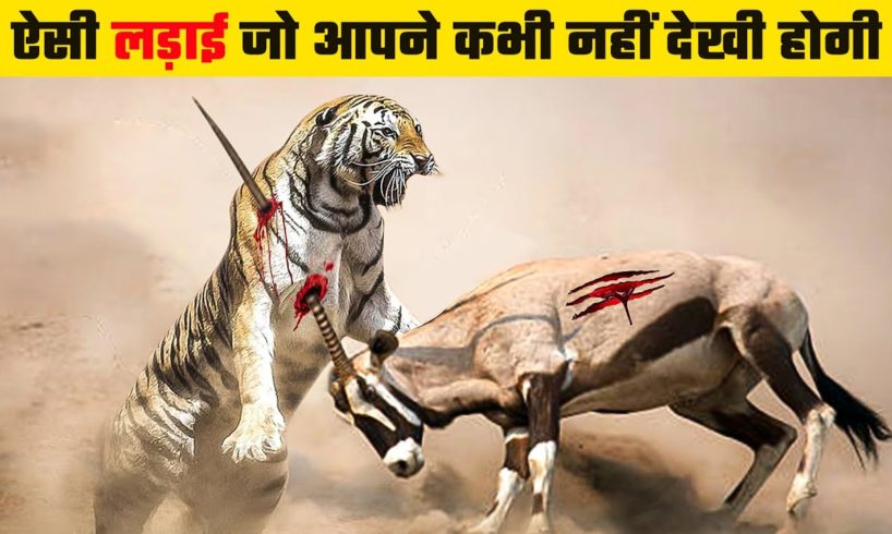 जंगली जानवरों की भयंकर लड़ाइयां | Dangerous Fights of Wild Animals | Animal Fights in Hindi