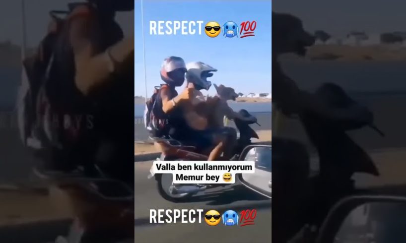 Respect | #respect #shorts | Amazing Video | Like A Boss | People Are Awesome | #LIKEABOSS