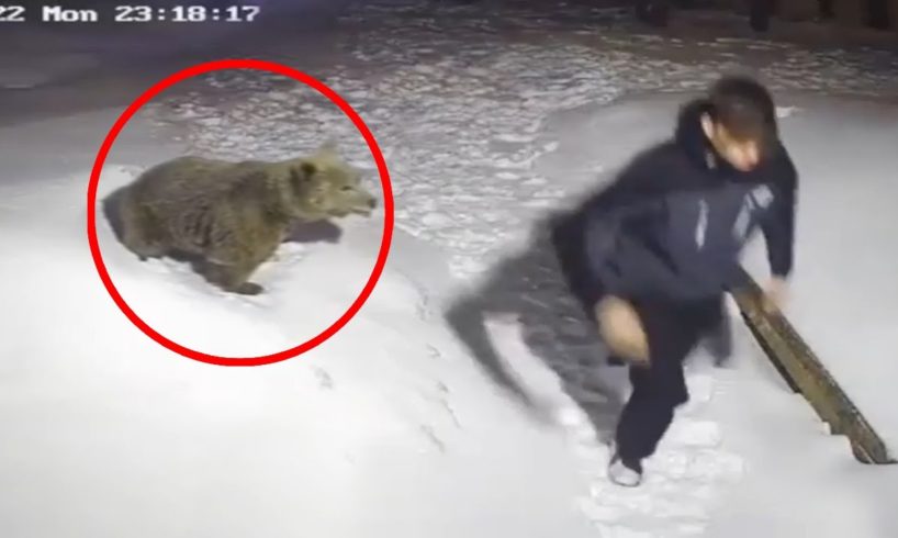 30 Scariest Bear Encounters of the Year (Part 2)