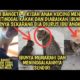 Anak Kucing Menangis Sedih Ditinggal Ibu dan Saudaranya Akhirnya Ada Ibu Angkat | Video Sedih Kucing