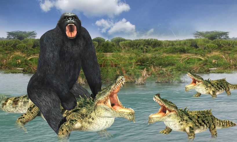 Mighty Gorilla Vs Crocodile Fight in River to save animals in Forest - Animal Fights