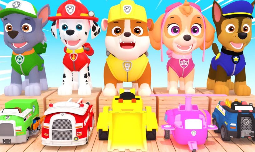 Paw Patrol Ultimate Rescue - Mighty Pups On A Roll Nick Jr. HD #30