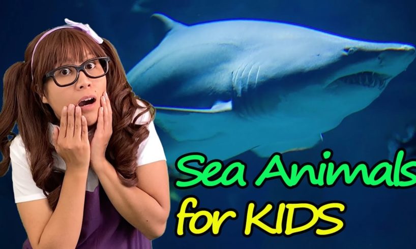 Sea Animals | Educational Video for Kids