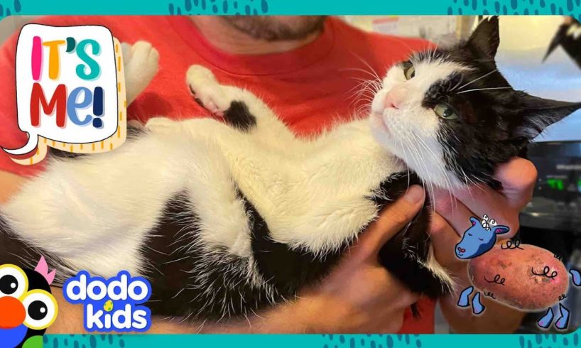 The Only Thing This Cat Loves More Than His Dad Is... Potatoes?! | Dodo Kids | It's Me!