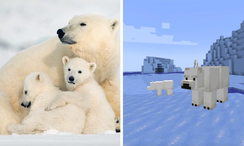 The Real Animals of Minecraft | Pixel Zoo | BBC Earth Kids