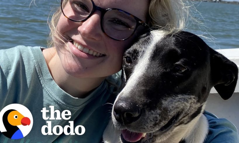 Woman Takes Lost Dog On Her Birthday Trip | The Dodo Soulmates