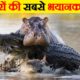 जानवरों की सबसे खतरनाक लड़ाइयां | Merciless Battles Between Animals | Most Dangerous Animal Fights