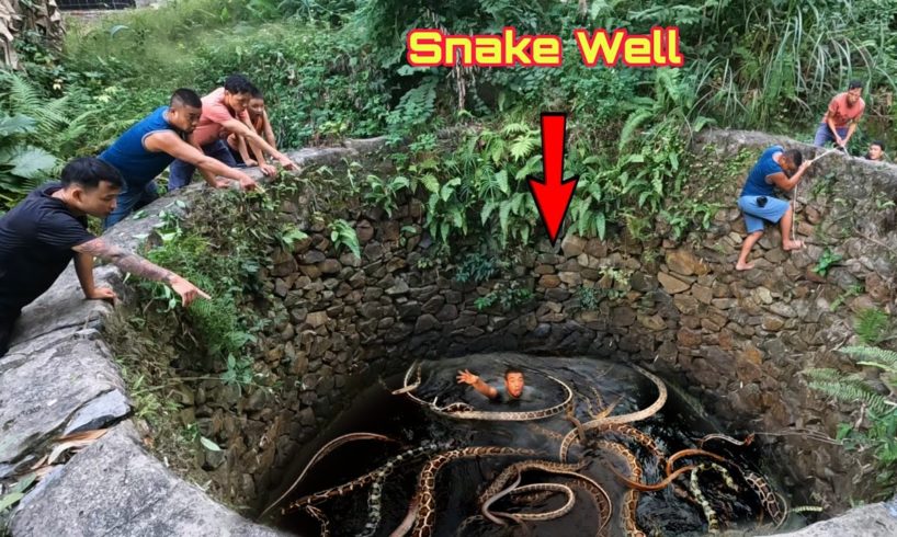 Animal Rescue Team Rescues 2 Giant Snake Into Water Well | King Snake Vlogs