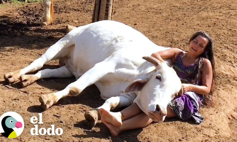 Animales rescatados se derriten en los brazos de esta mujer cuando les canta | El Dodo