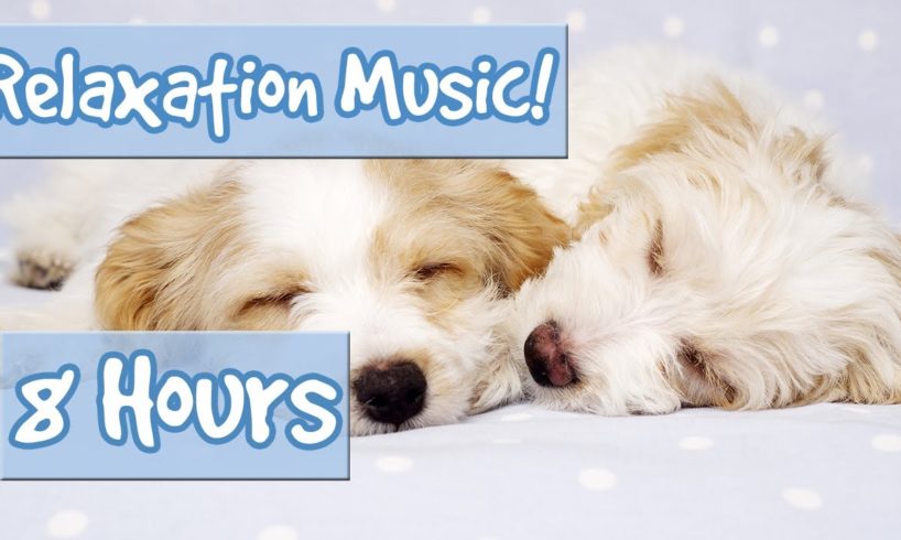 BEST PLAYLIST FOR CALMING PUPPIES. Music to Relax My Puppy, Special Therapy Music for Dogs 🐶 🎵 💤