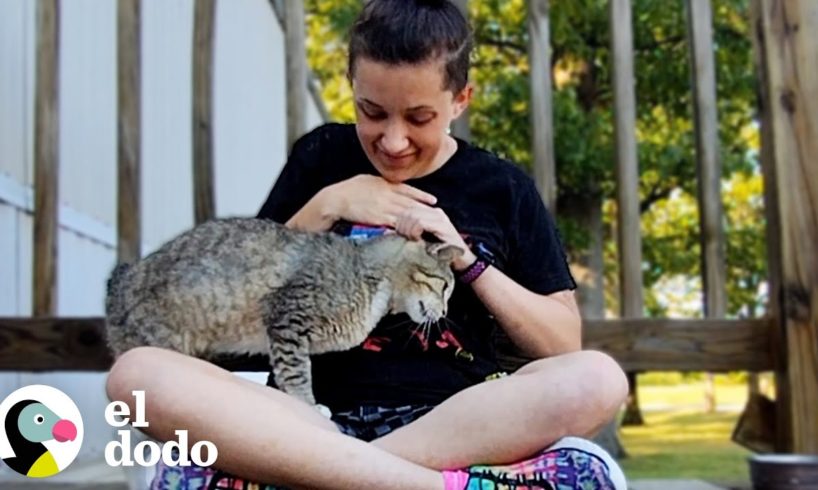 Chica está decidida a ganarse el amor de este gato | El Dodo