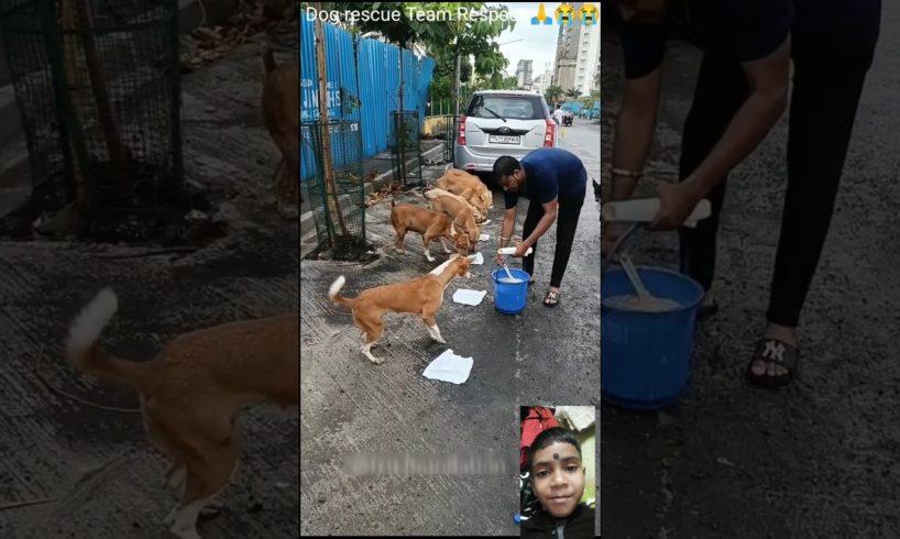 Dog rescue Team Respect 🙏💯🔥😱🔥 #respect