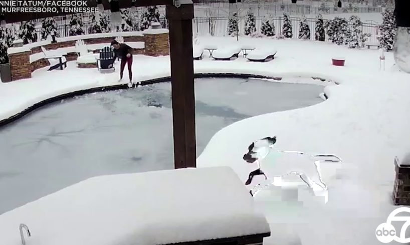 Tennessee woman jumps into frozen swimming pool to rescue dog | ABC7