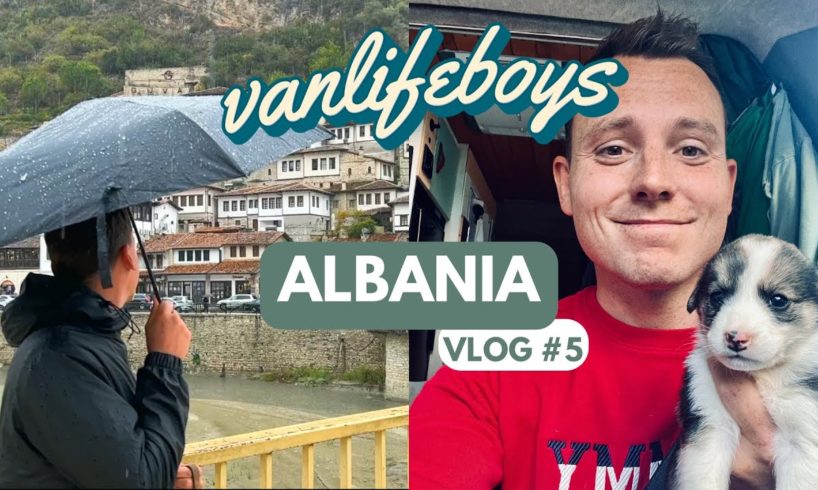 We found the cutest puppies ever! Travel vlog Albania, Berat, Gjirokaster Vanlife Europe