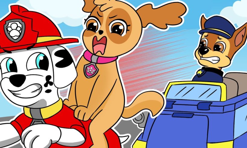 What Happened To Skye??? - Mashall Rescues Skye - Paw Patrol | Crew Buzzer