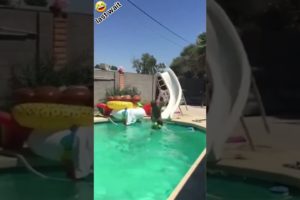 instant Regret! 🤣 Best funny fails of the week #fails #funnyfails