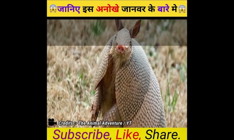 जानिए इस अनोखे जानवर के बारे मे😨  #shorts #viral #trending #viralvideo