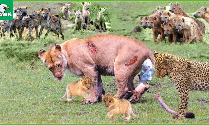 5 Times Lions Give Birth And Fight To Protect Cub | Wild Animals