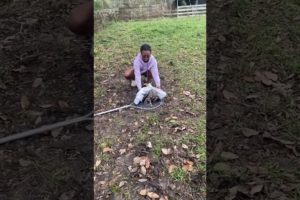 Girl Rescues Owl Stuck Inside Water Bin #Shorts #Owl #Rescue