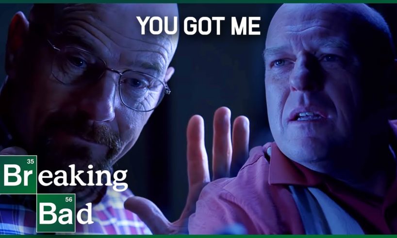 Hank & Walt's Game Of Cat & Mouse | COMPILATION | Breaking Bad