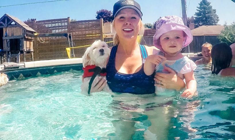 Swimming with the Cutest Puppy & Baby!